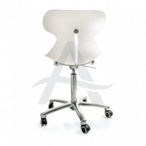 Stoel brio (Stoel brio)